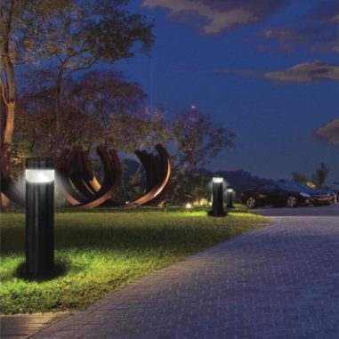 DLED-BL314-25848-pic